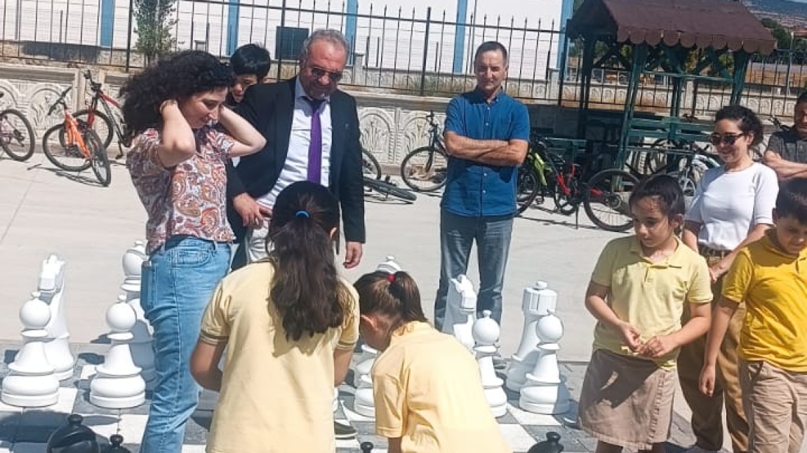 Satranç